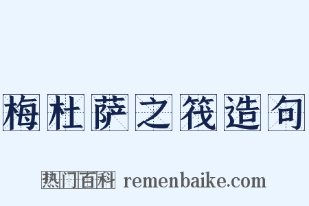 梅杜萨之筏造句是什么意思的图片